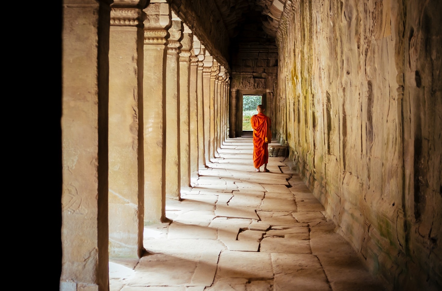 The Role of Buddhism in Social Justice