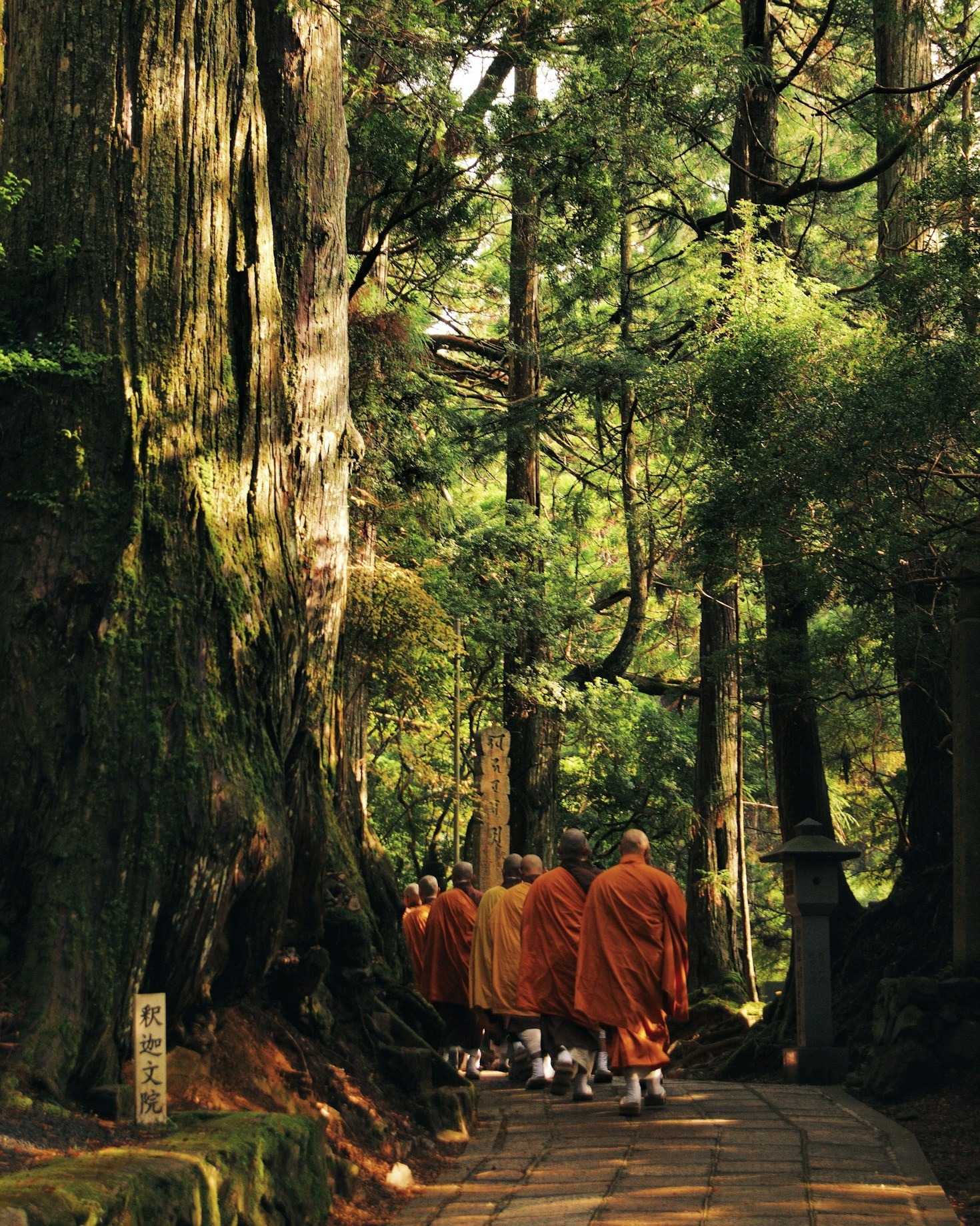 Lessons from Thích Quảng Đức’s Life and Teachings